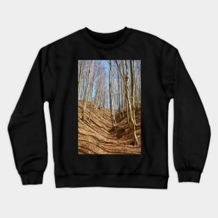 Landscape with beech forest on springtime Crewneck Sweatshirt